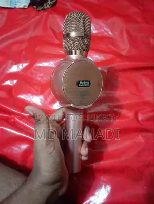*Brand*: Manbang Singsingday Karaoke Mic