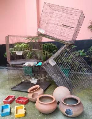 4 Bird Cages + Full Set