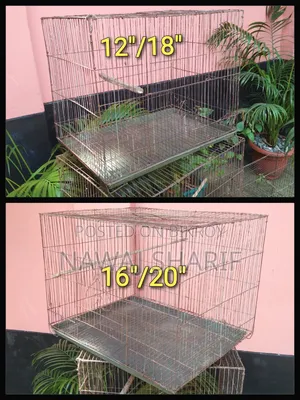 4 Bird Cages + Full Set