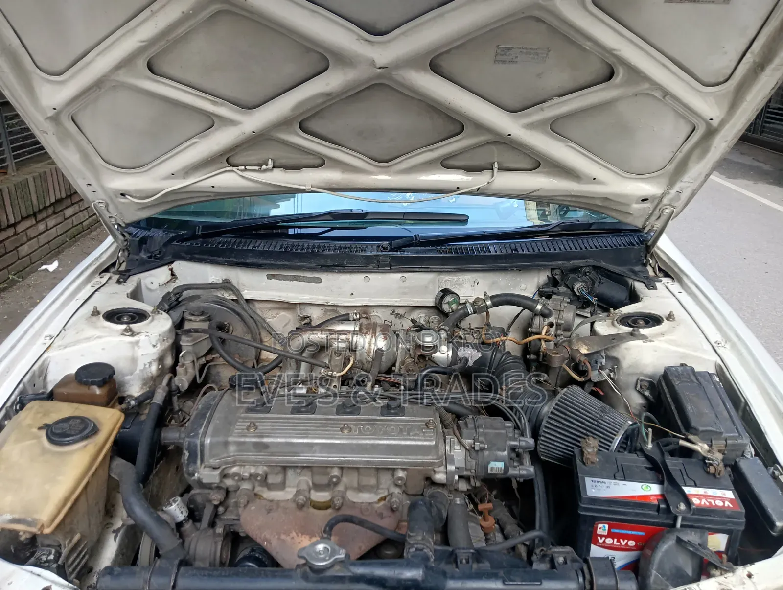 Toyota Corolla 1997 White