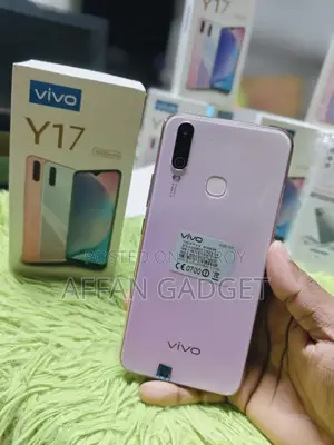 ভিভো ওয়াই১৭ ২৫৬ জিবি গোলাপি