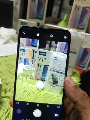 ভিভো ওয়াই ১৭ ২৫৬ জিবি পিংক
