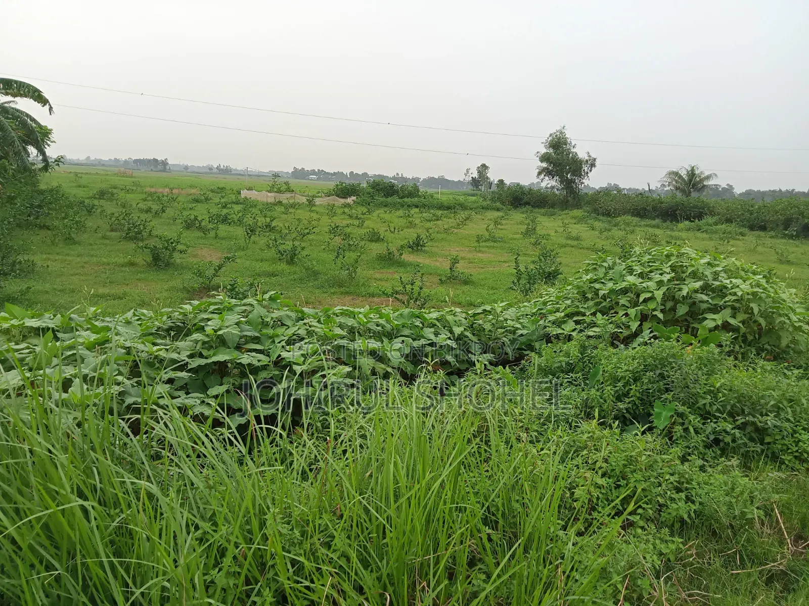 Land for sale