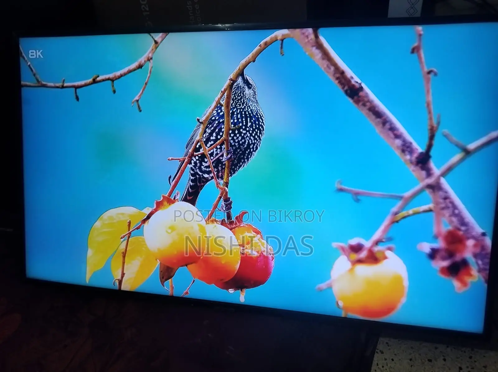Samsung 43 Un7100R Voice Control TV