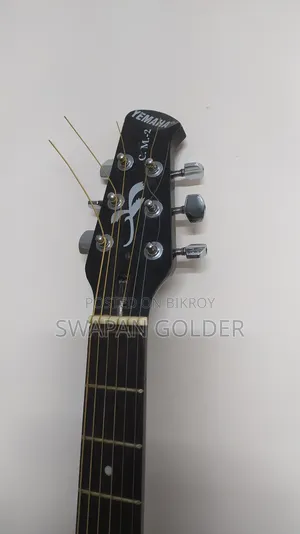 Guitar Black Color