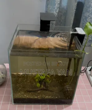 Crystal Glass Aquarium