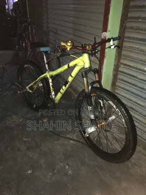 Stunt Cycle