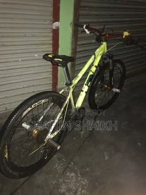 Stunt Cycle
