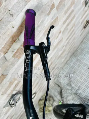 Veloce Stunt Prodigy 26” Fully Modified