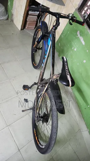 Used Bicycle