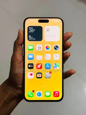 অ্যাপল আইফোন ১৫ প্রো ম্যাক্স ২৫৬ জিবি