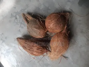 ৭৫ টাকায় নারকেল