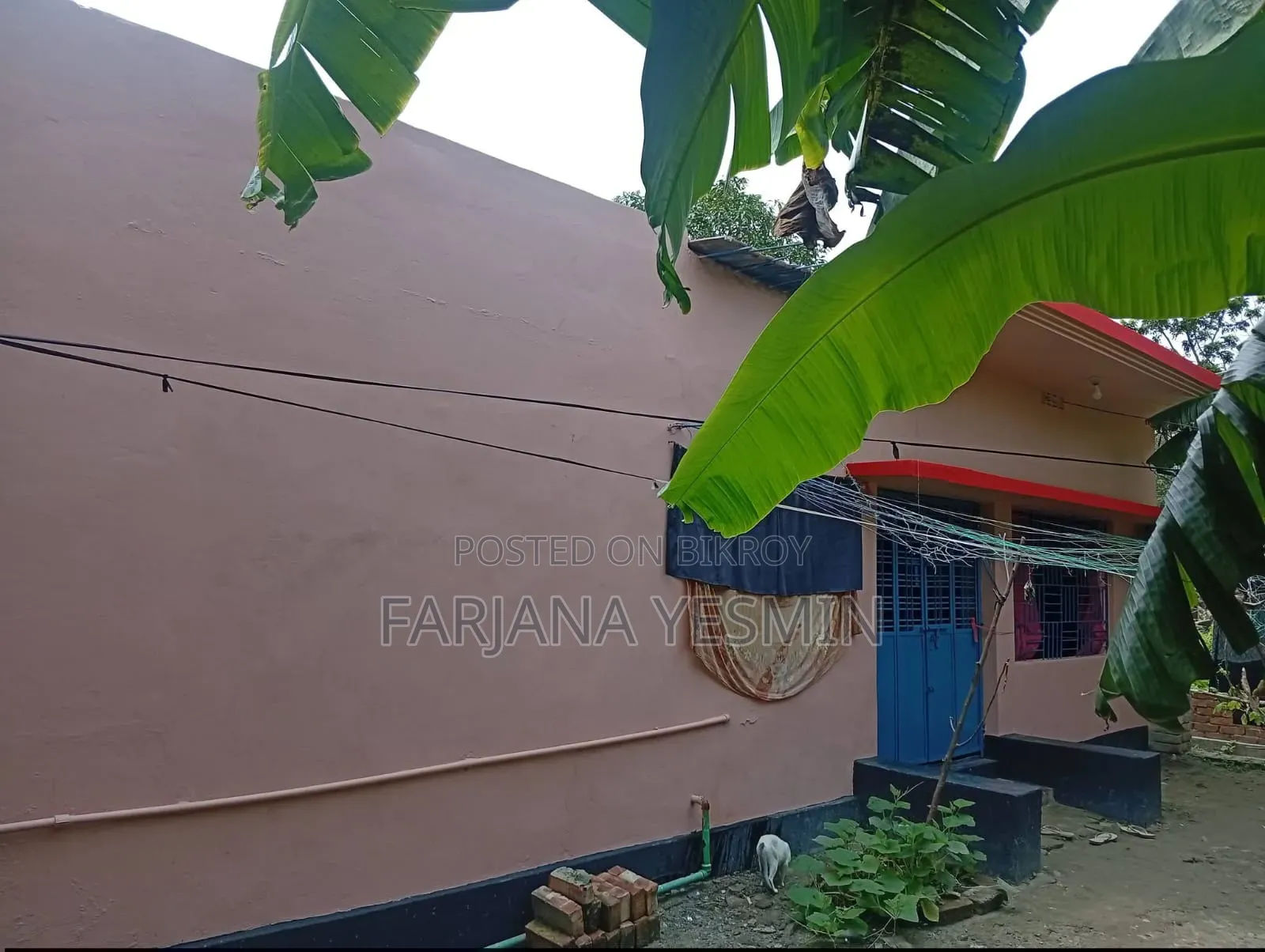 সাতক্ষীরা সদরে ৩ বেডরুমের বাড়ি বিক্রয়