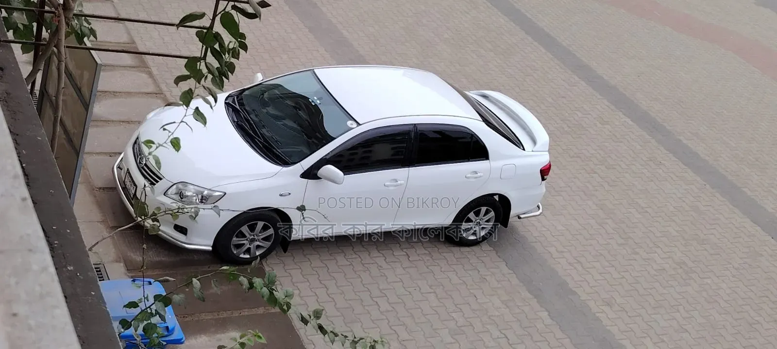 2010 White Toyota Axio