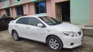 2010 White Toyota Axio