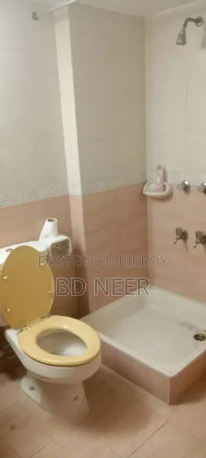 3 Bedroom Apartment in Banani for Rent