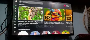 Haier 32" Google Voice Control