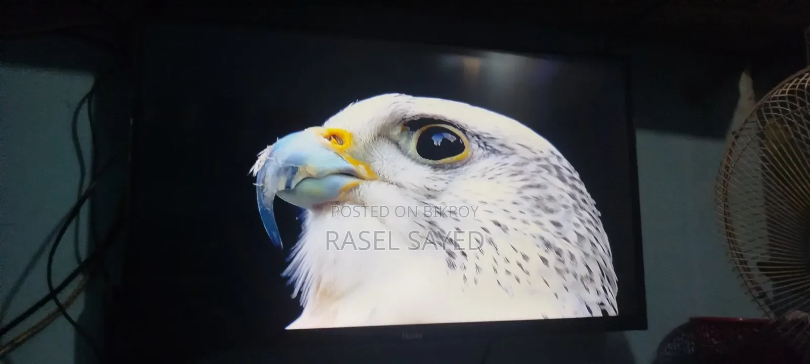 Haier 32" Google Voice Control