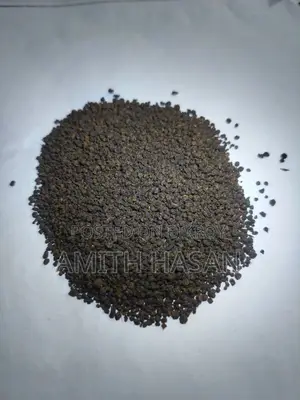 ফরেস্ট টি