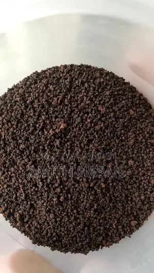 ফরেস্ট টি