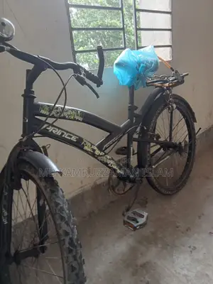 ভালো আছে সাইকেল টা আমার হাতের
