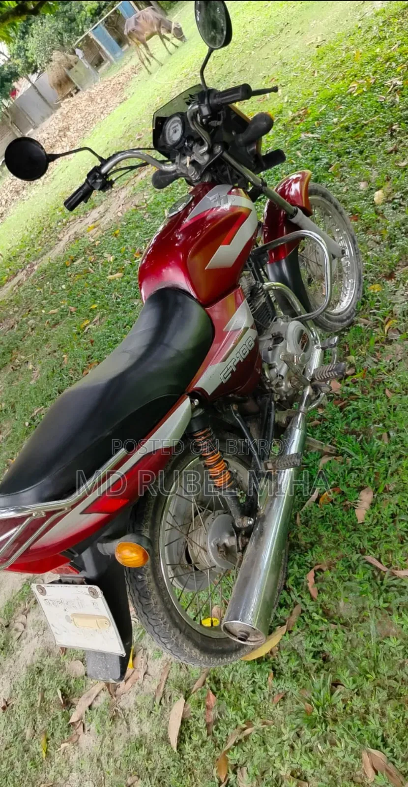 Bajaj CT 100 2013 Red