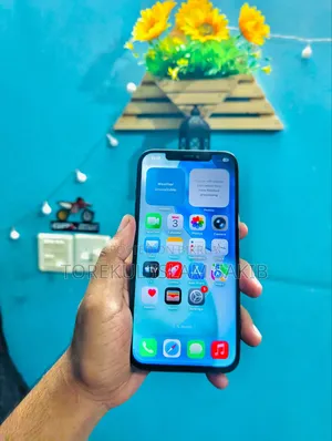 অ্যাপল আইফোন ১২ প্রো ম্যাক্স ১২৮ জিবি ব্ল্যাক