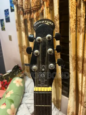 Signature Guitar