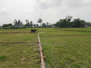 Land for sale next to Bhaluka, Boro Kashor Factory