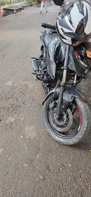 বাজাজ পালসার এন২৫০ ২০২৪ ব্ল্যাক