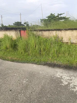 Sector: 24, South Face Excellent 3 Katha Plot Urgent Sale in Purbachal