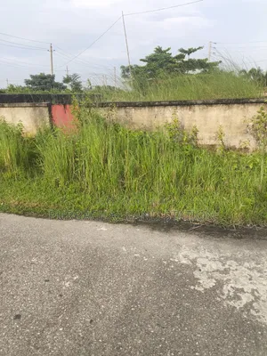 Sector: 24, South Face Excellent 3 Katha Plot Urgent Sale in Purbachal