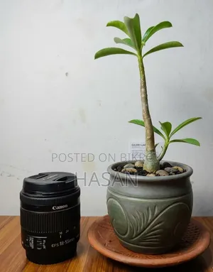 Canon Lens
