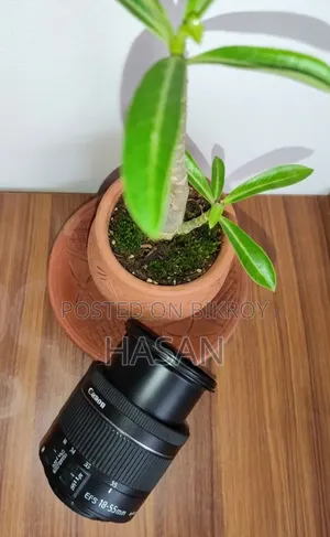 Canon Lens