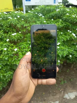 Vivo Y17 256 GB Blue