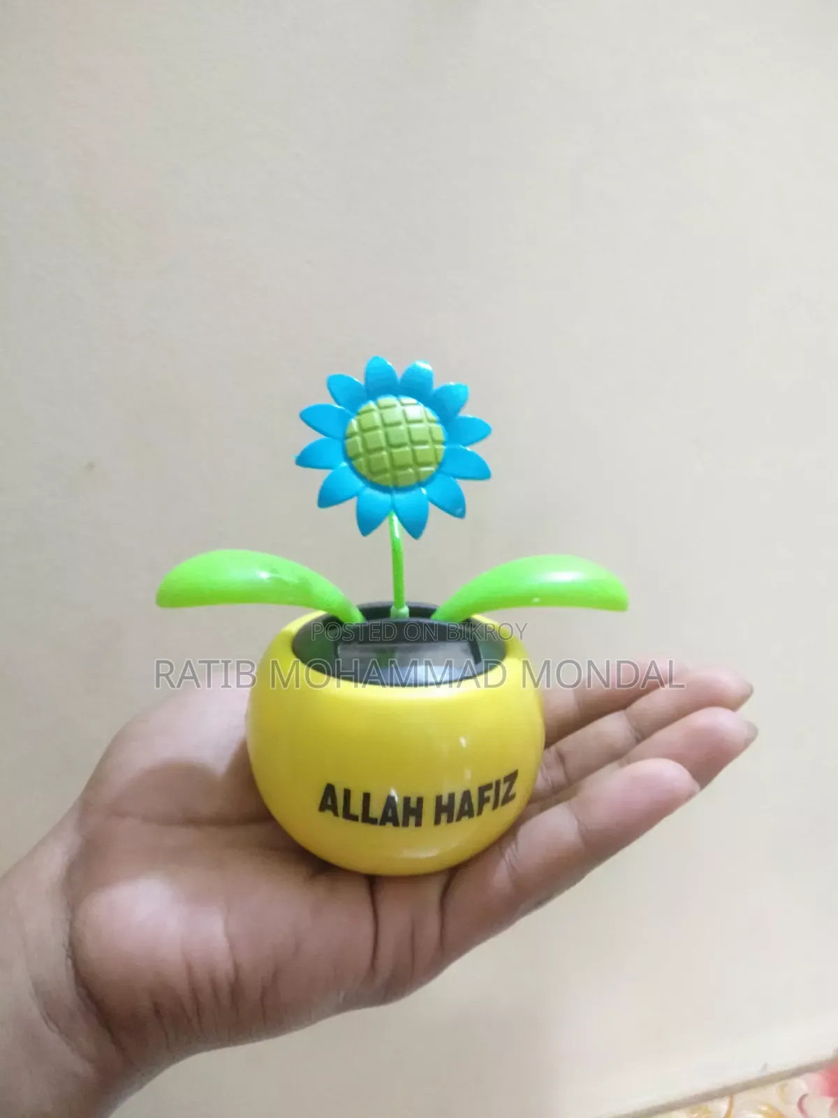 সোলার ড্যান্সিং ফ্লাওয়ার