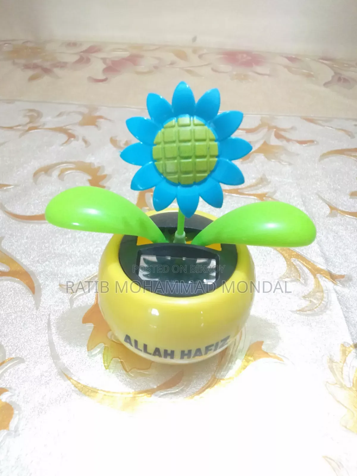 সোলার ড্যান্সিং ফ্লাওয়ার