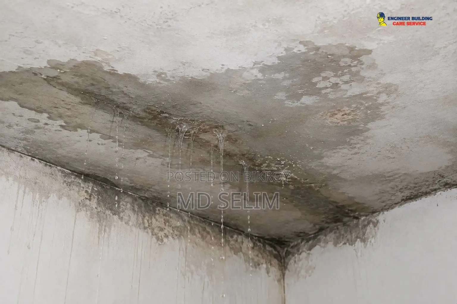 Roof Damp Proof Solution