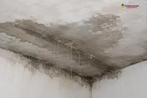 Roof Damp Proof Solution