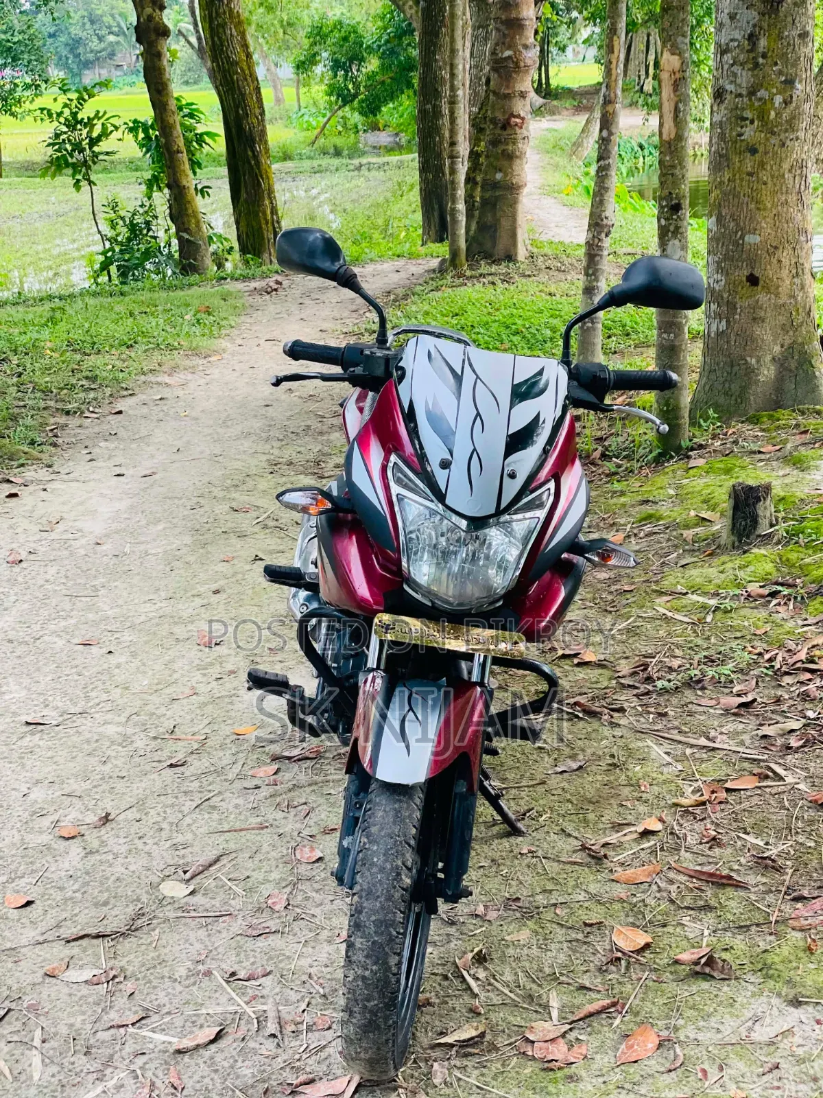 Bajaj Discover 150 2014 Red
