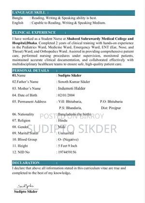Healthcare Nursing CV