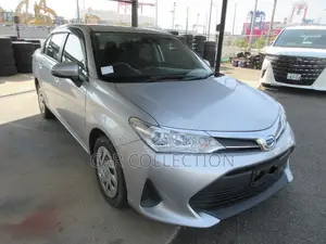 Toyota Axio 2021 Silver
