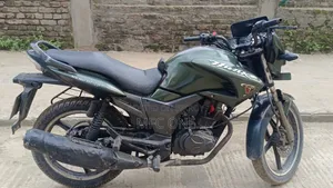 হিরো হাংক ২০১৫ গ্রিন