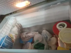 Refrigerator for Storing Fish and Meat