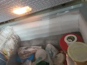 Refrigerator for Storing Fish and Meat