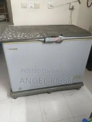 Refrigerator for Storing Fish and Meat