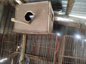 Breeding Box