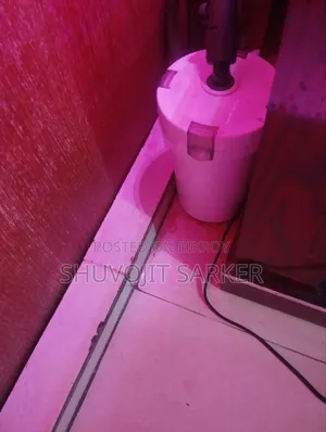 অ্যাকোয়ারিয়াম সেট