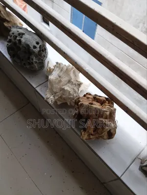 অ্যাকোয়ারিয়াম সেট