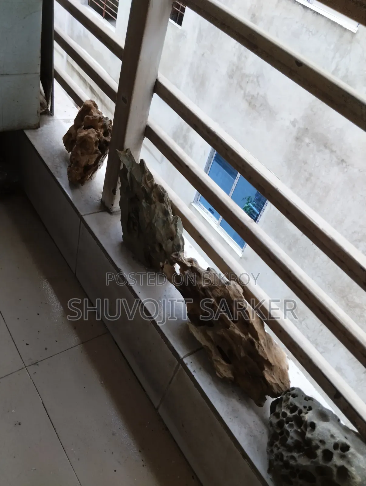 অ্যাকোয়ারিয়াম সেট